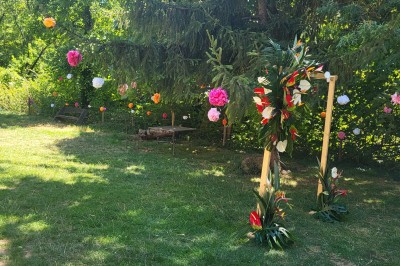 Un poney brun avec une longue crinière se tient sur une pelouse verte près d'arbres et d'un ruisseau.