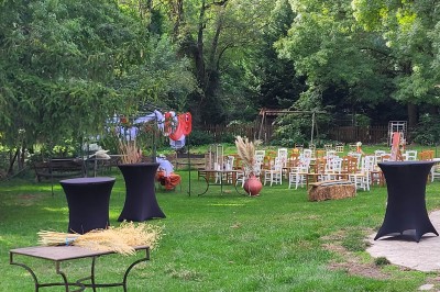 Un poney brun avec une longue crinière se tient sur une pelouse verte près d'arbres et d'un ruisseau.