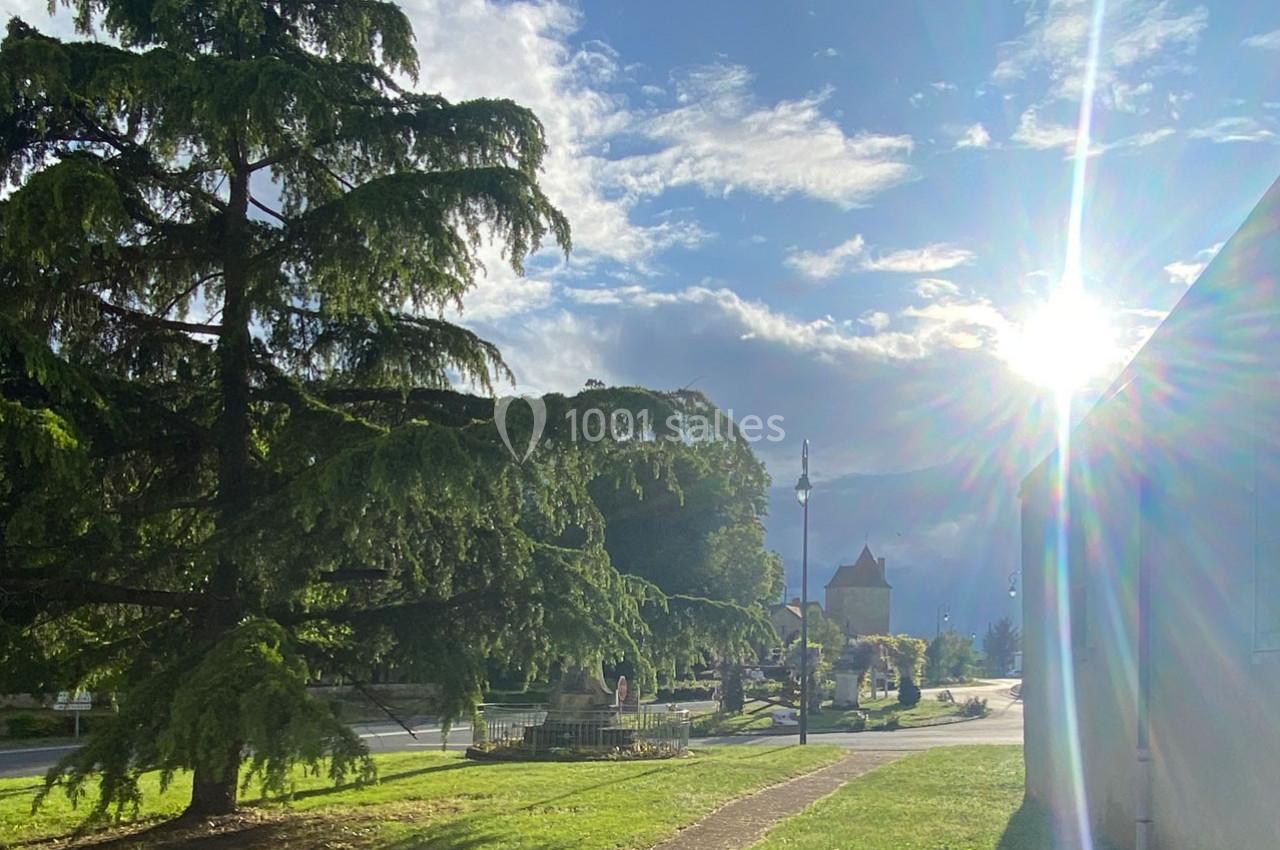 Un grand arbre sur une pelouse, avec un chemin, un ciel ensoleillé et des bâtiments en arrière-plan.