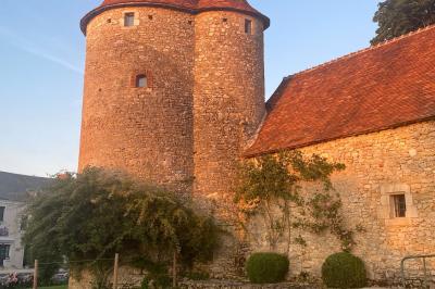 Bâtiment en pierre avec toit en tuiles rouges, entouré d'arbres et d'une pelouse, sous un ciel partiellement nuageux.