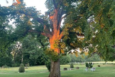 Bâtiment en pierre avec toit en tuiles rouges, entouré d'arbres et d'une pelouse, sous un ciel partiellement nuageux.