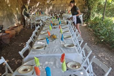Assiette de légumes variés dressés avec soin, comprenant asperges, carottes, chou-fleur, roquette et sauce décorative.