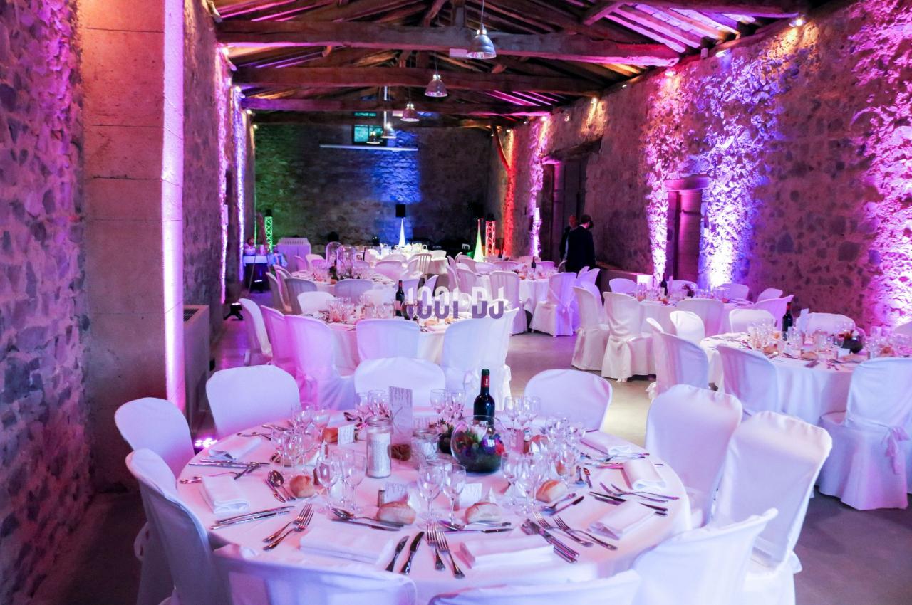 DJ Saint-Genis-Laval (Rhône) - Imagine Concept Sonorisation #12