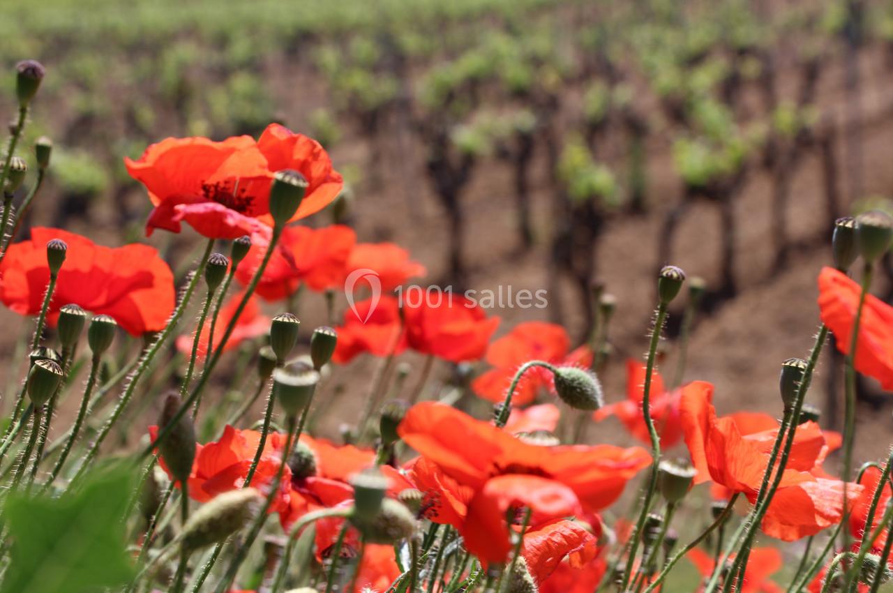 Location salle Cornillon (Gard) - Château de l’Olivete #19