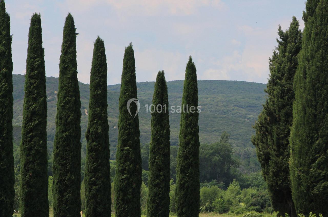 Location salle Cornillon (Gard) - Château de l’Olivete #24
