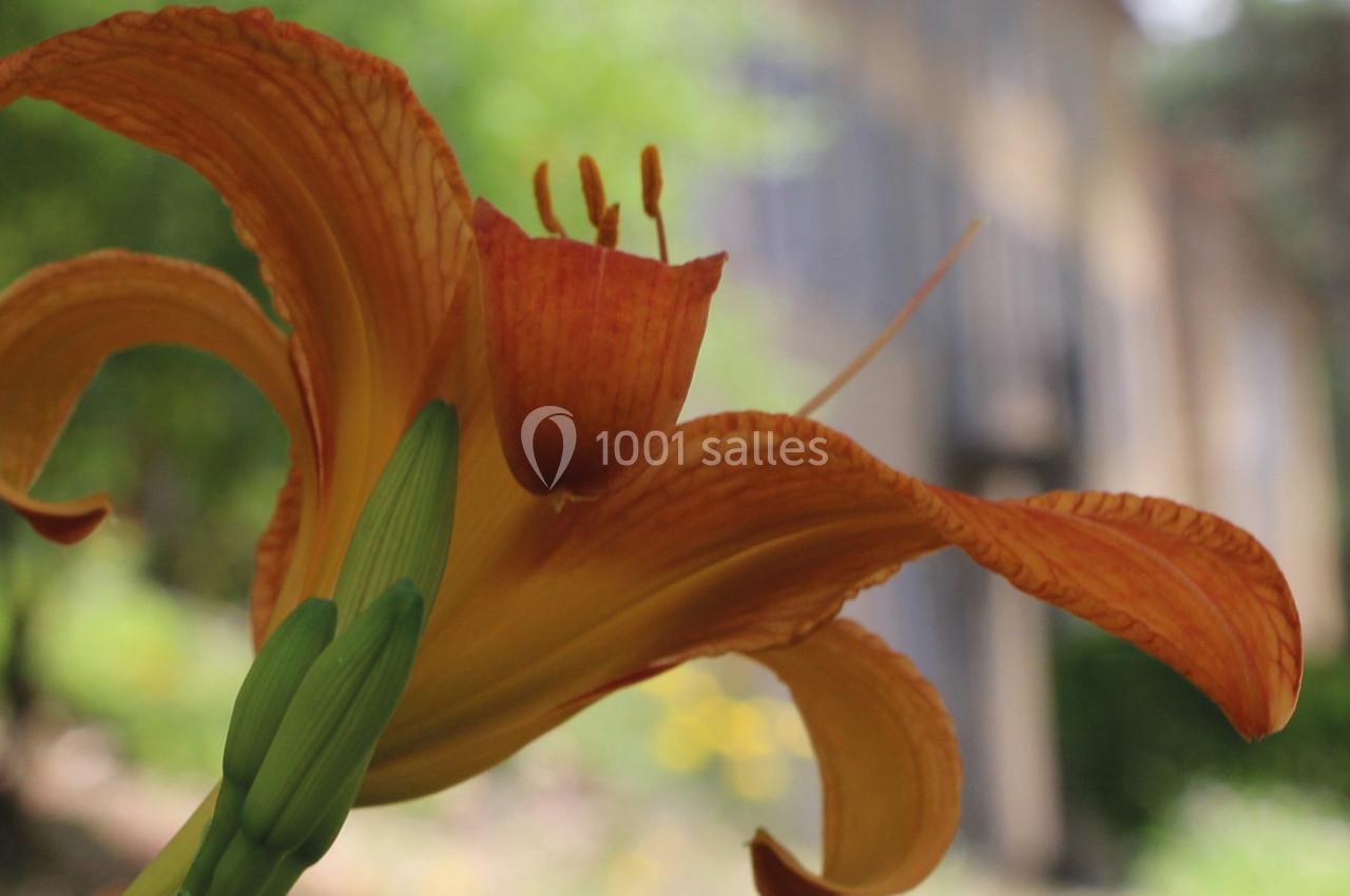 Location salle Cornillon (Gard) - Château de l’Olivete #14