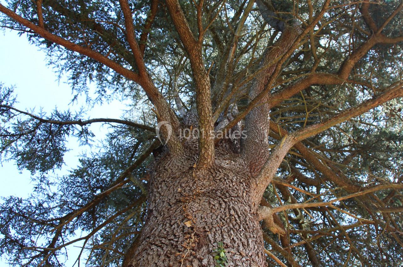 Location salle Cornillon (Gard) - Château de l’Olivete #25