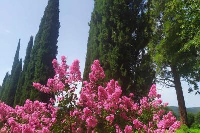 Location salle Cornillon (Gard) - Château de l’Olivete #25