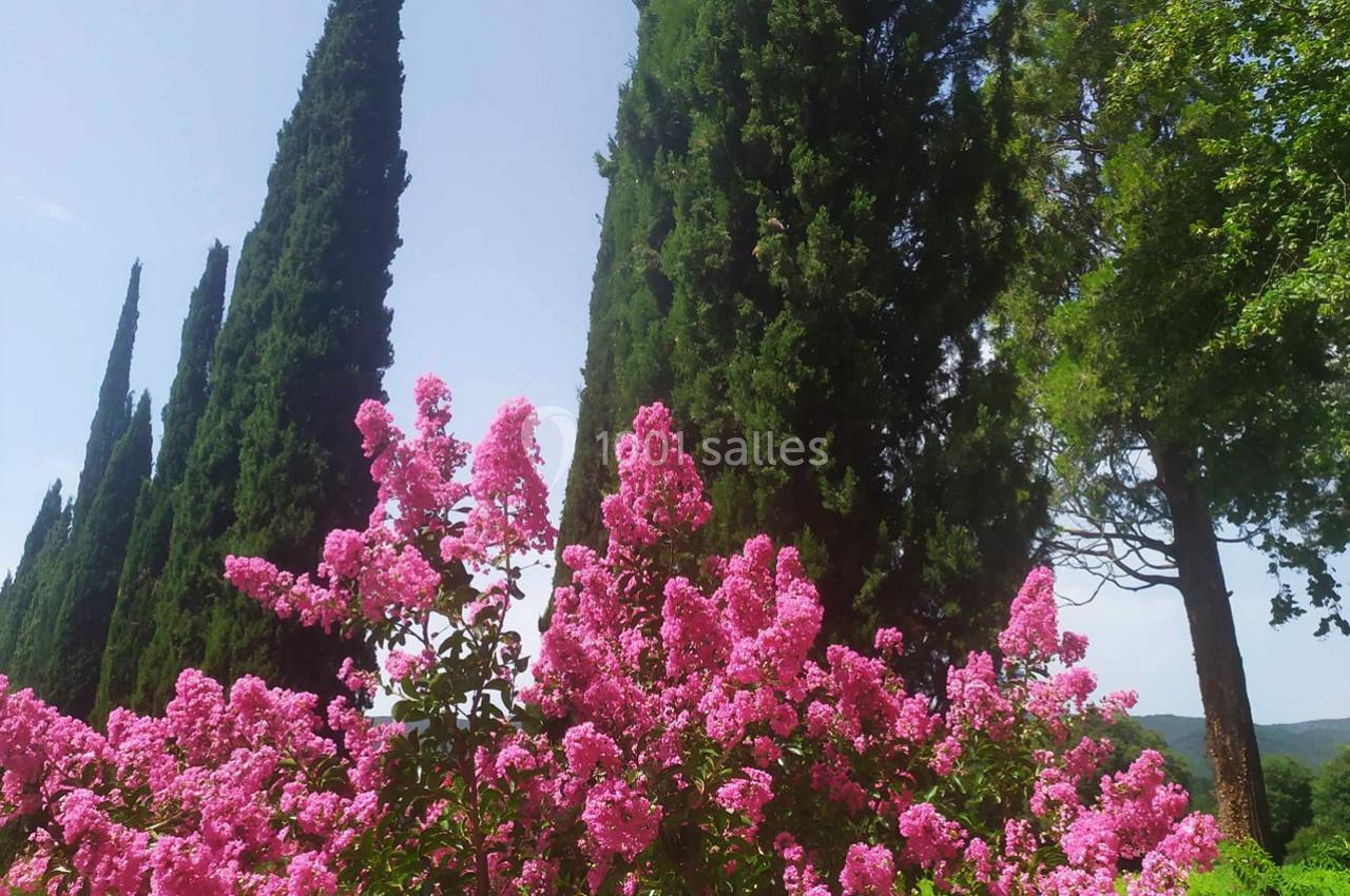 Location salle Cornillon (Gard) - Château de l’Olivete #22