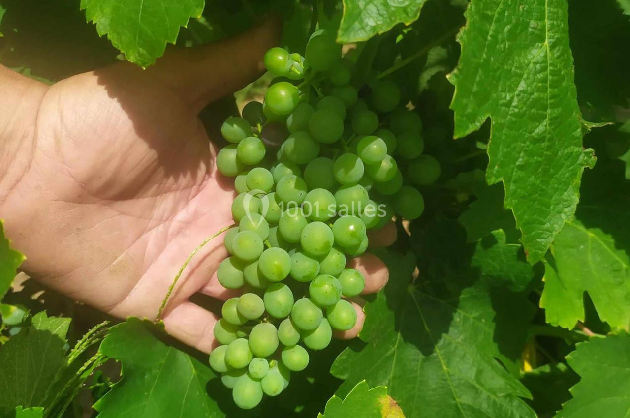 Location salle Cornillon (Gard) - Château de l’Olivete #20