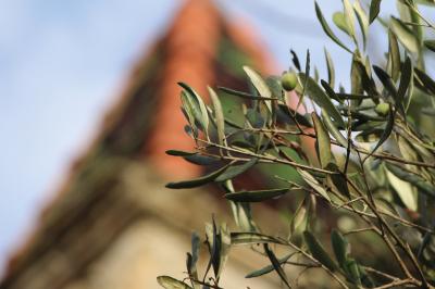 Location salle Cornillon (Gard) - Château de l’Olivete #25