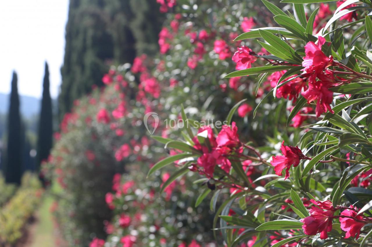 Location salle Cornillon (Gard) - Château de l’Olivete #21
