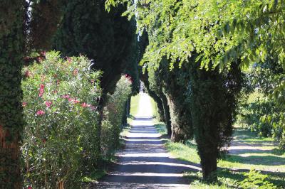 Location salle Cornillon (Gard) - Château de l’Olivete #25