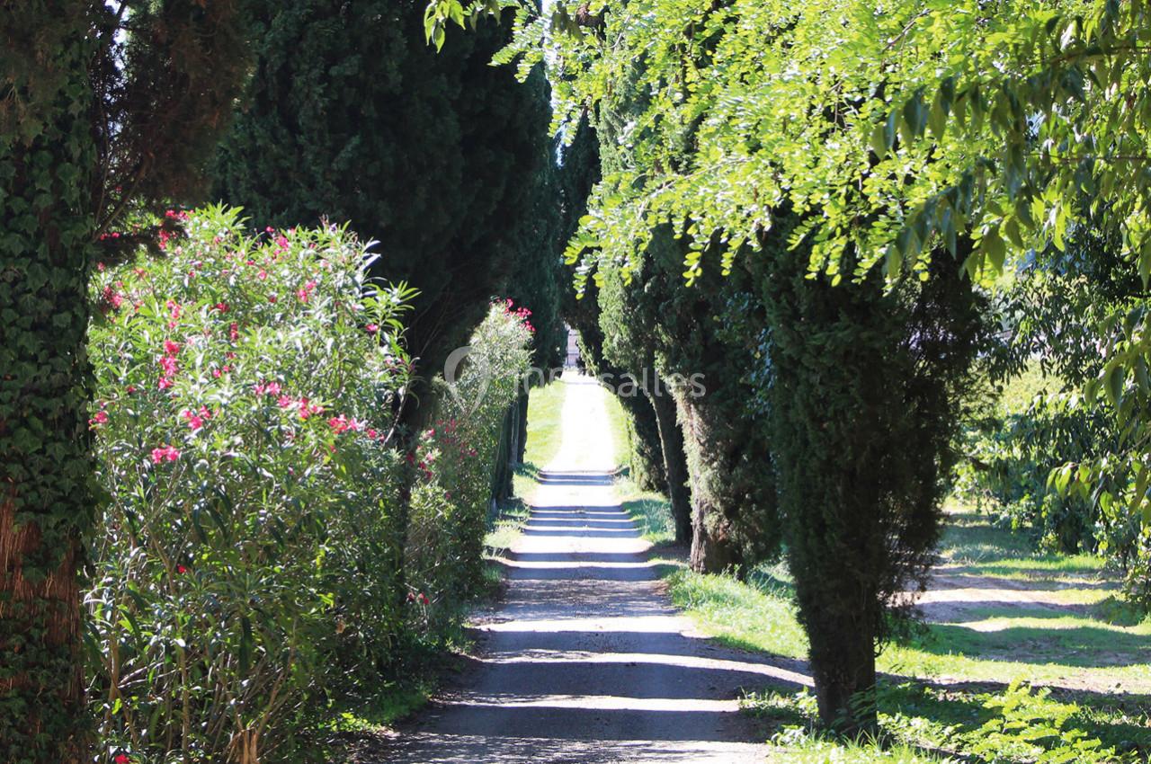 Allée devant le chateau