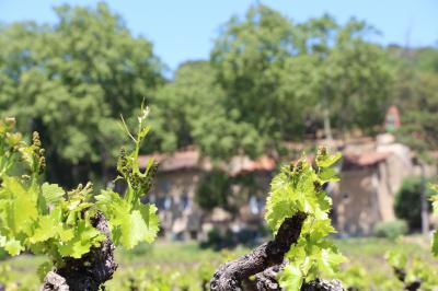 Location salle Cornillon (Gard) - Château de l’Olivete #25