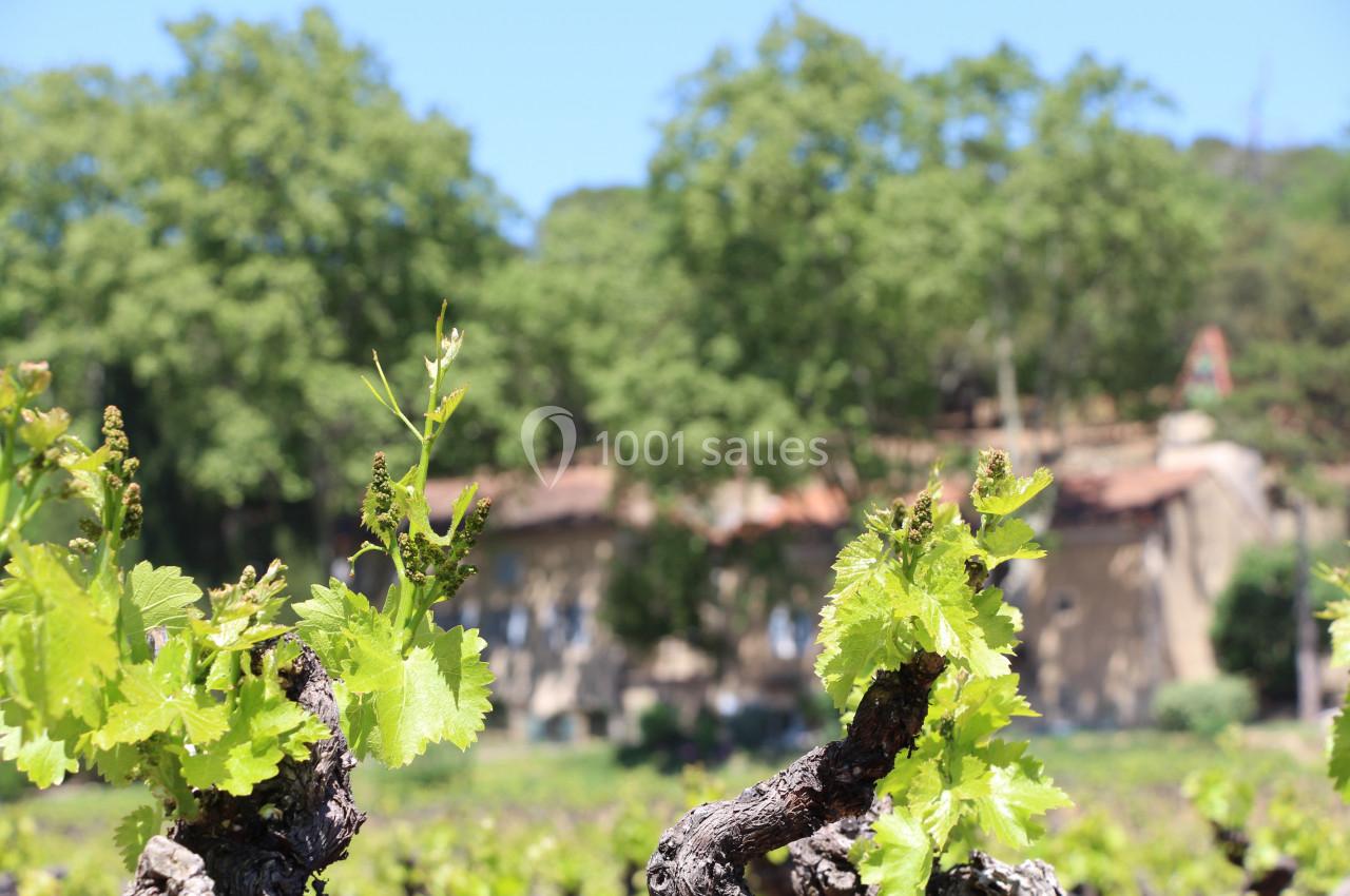 Vue de la propriété depuis le vignoble 