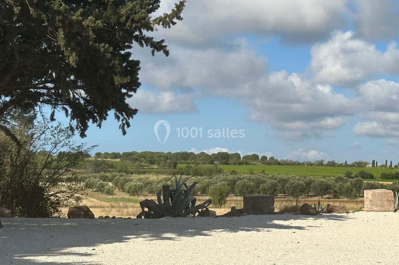 Paysage rural avec un arbre à gauche, des champs verdoyants à l'horizon et un ciel partiellement nuageux.