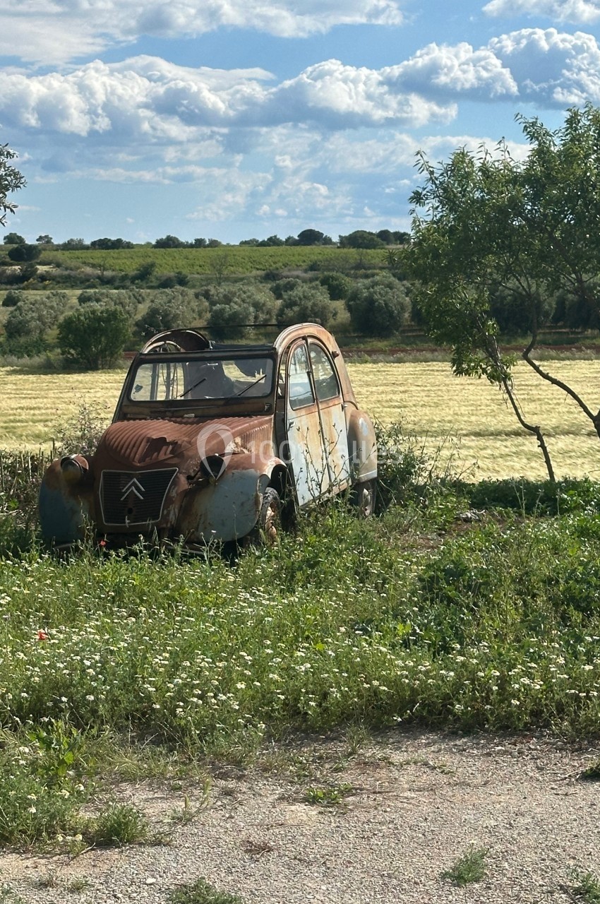 Une vieille voiture rouillée abandonnée dans un champ verdoyant sous un ciel partiellement nuageux.