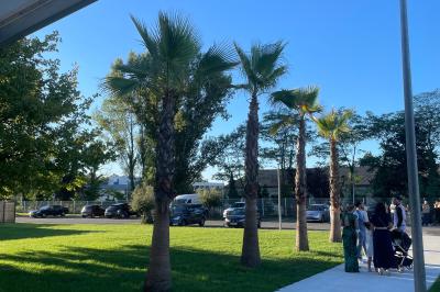 Salle de réception décorée avec des chaises blanches alignées et des arrangements floraux, prête pour un événement.