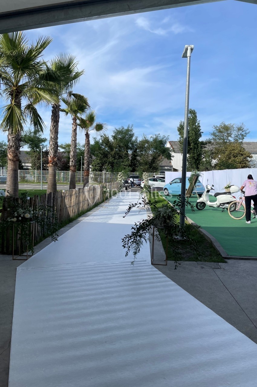 Allée blanche bordée de palmiers et de végétation, menant à un espace extérieur avec vélos et scooters.