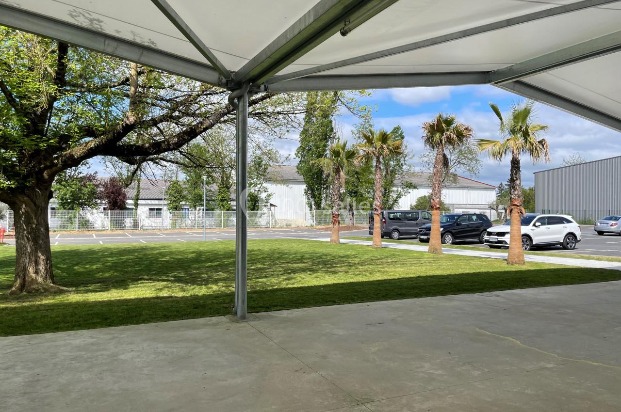 Vue d'un espace extérieur avec pelouse, arbres, palmiers, voitures garées et structures en arrière-plan.