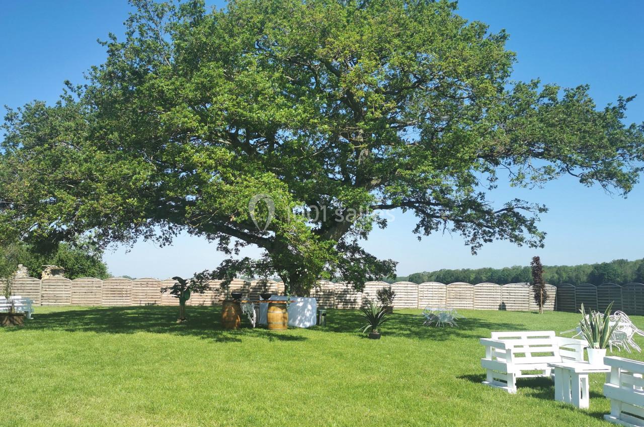 Un grand arbre au centre d'un jardin verdoyant avec des bancs blancs et des décorations en plein air.