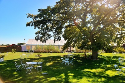 Le Clos du Chêne Vert