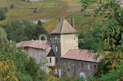 Deux bouteilles de vin, une blanche et une rouge, posées sur un tonneau en bois avec un fond de verdure.