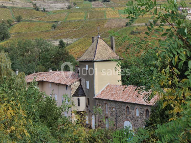 Vue d'un bâtiment ancien entouré de végétation, avec des vignobles en arrière-plan sur un terrain vallonné.