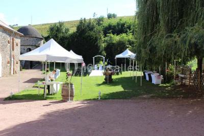 Deux bouteilles de vin, une blanche et une rouge, posées sur un tonneau en bois avec un fond de verdure.