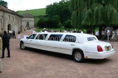 Deux bouteilles de vin, une blanche et une rouge, posées sur un tonneau en bois avec un fond de verdure.