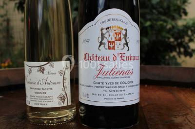 Deux bouteilles de vin, une blanche et une rouge, posées sur un tonneau en bois avec un fond de verdure.