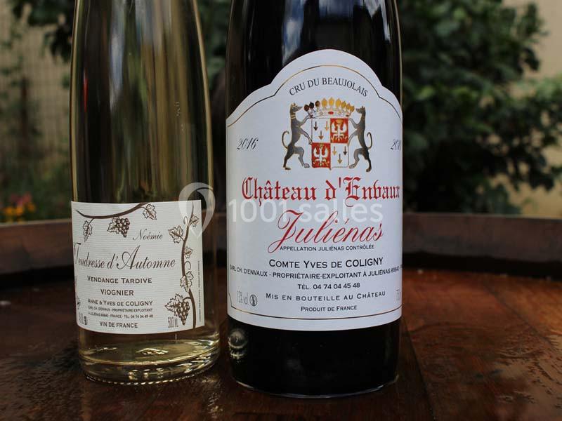 Deux bouteilles de vin, une blanche et une rouge, posées sur un tonneau en bois avec un fond de verdure.