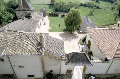Deux bouteilles de vin, une blanche et une rouge, posées sur un tonneau en bois avec un fond de verdure.
