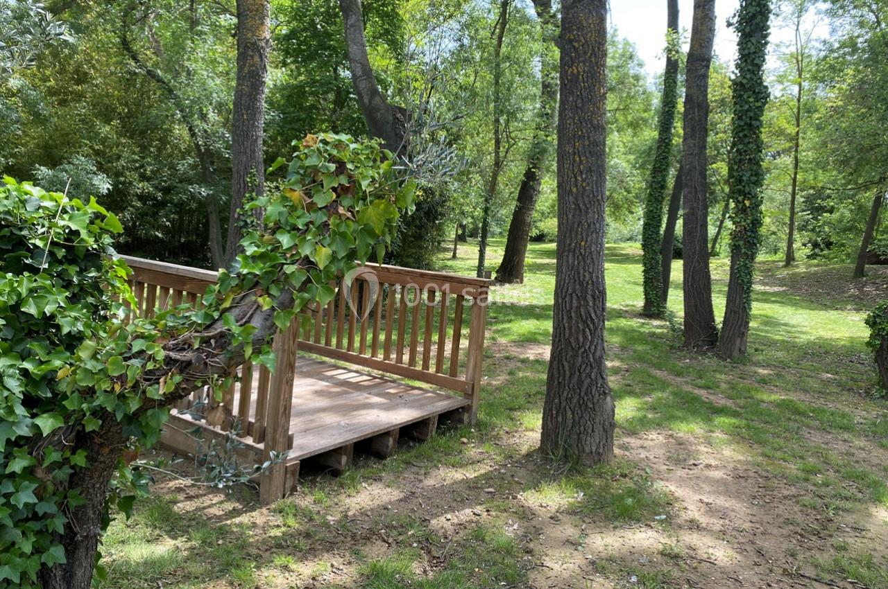Petit pont en bois entouré d'arbres et de végétation dans un espace naturel verdoyant.
