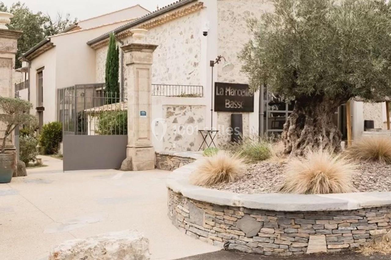 Façade en pierre d'un bâtiment avec un olivier au premier plan et une enseigne ’La Marcellie Basse’.