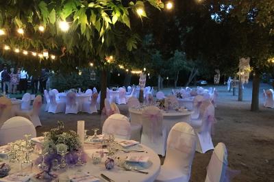 Miniature MARIAGE SOUS LES MURIERS CEREMONIE BOHEME