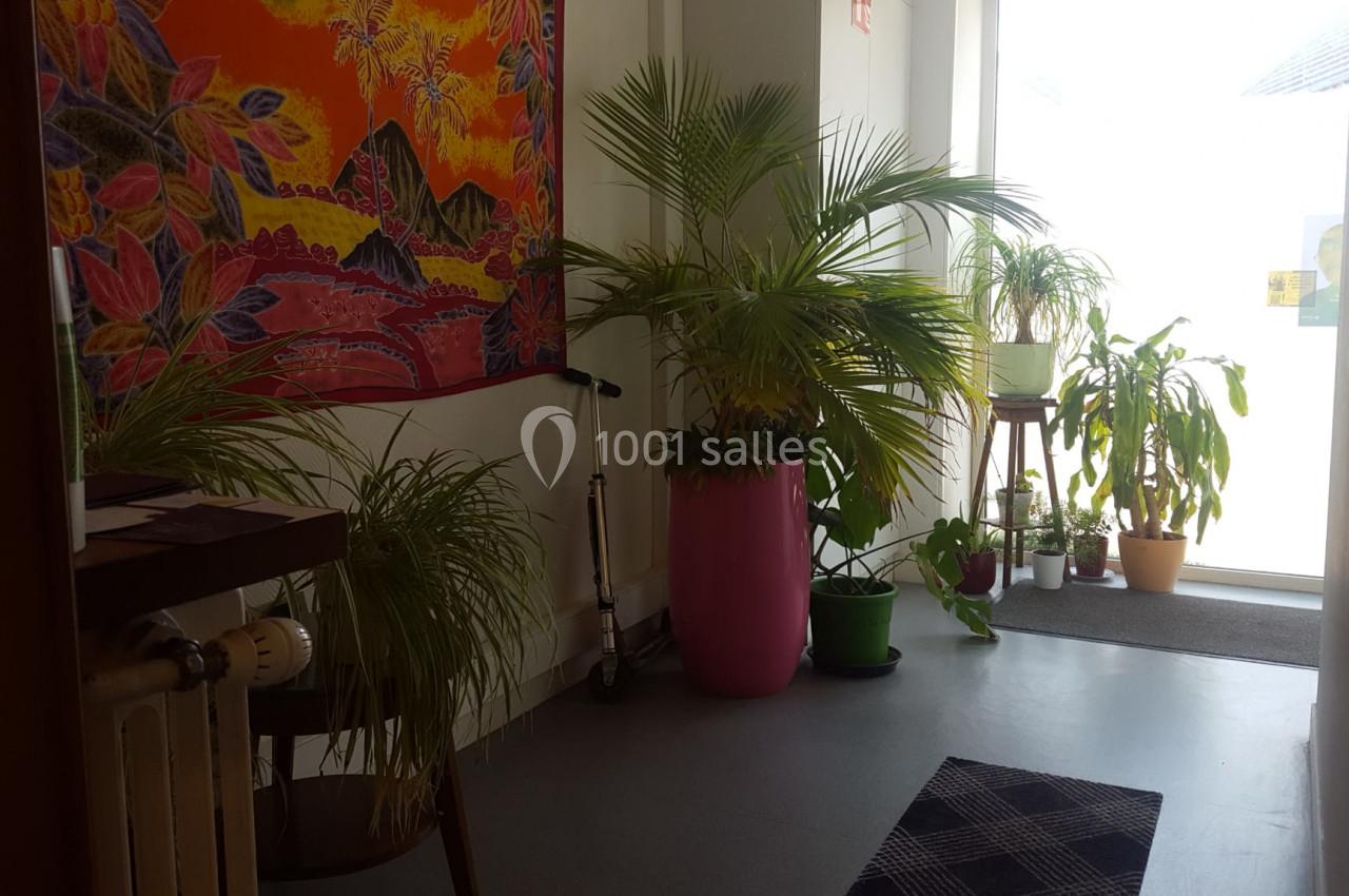 Plantes en pots disposées dans un couloir lumineux avec un tapis au sol et une tapisserie colorée accrochée au mur.