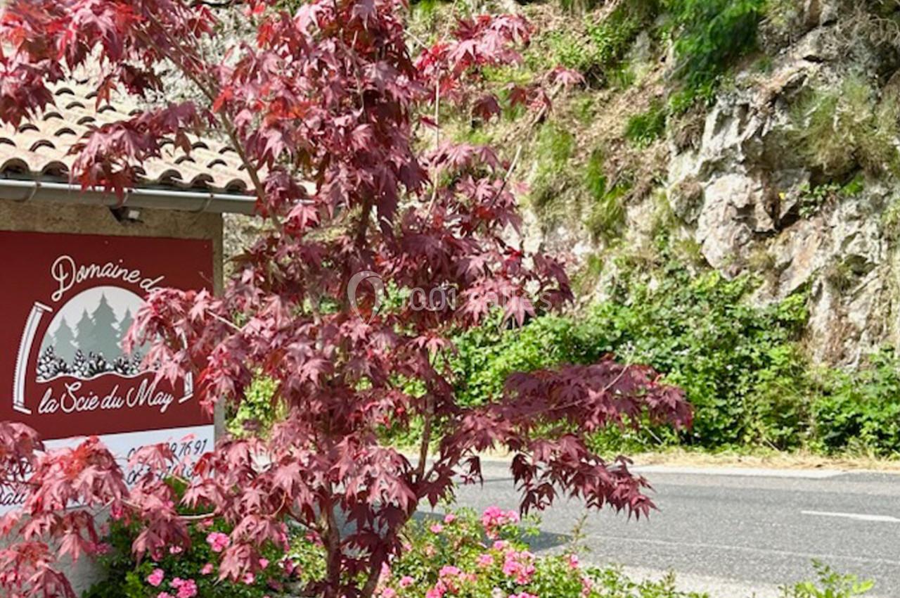 Un érable rouge devant un panneau indiquant ’Domaine La Scie du May’, près d'une route bordée de végétation.