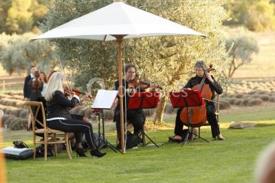 Location salle Orgon (Bouches-du-Rhône) - Le Mas de la Rose #24
