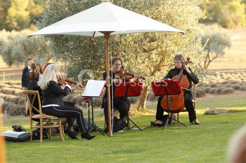 Location salle Orgon (Bouches-du-Rhône) - Le Mas de la Rose #12