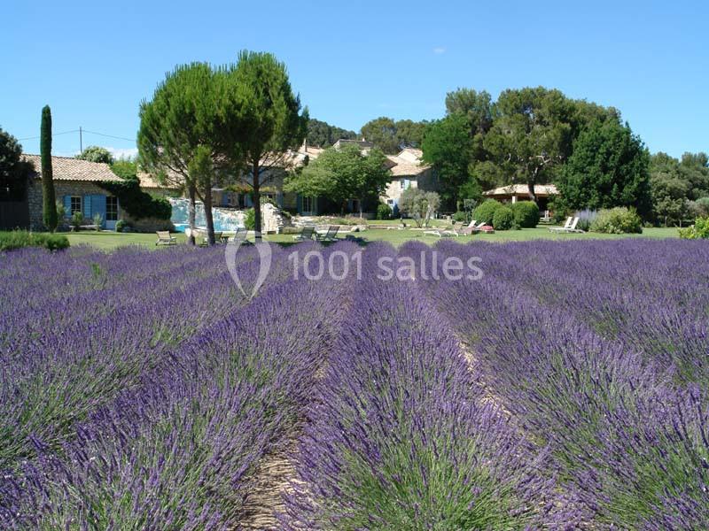 Location salle Orgon (Bouches-du-Rhône) - Le Mas de la Rose #3