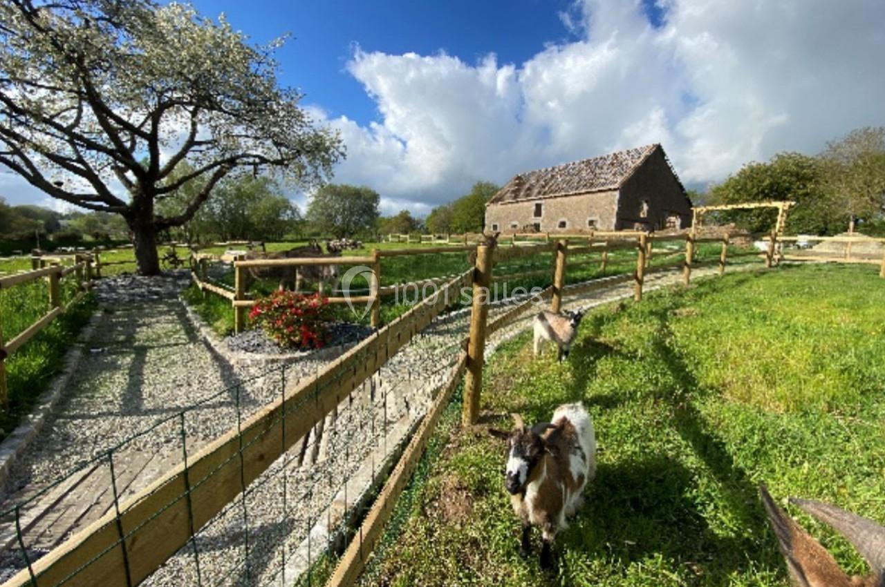 Enclos champêtre avec chèvres, chemin gravillonné, arbre fleuri et bâtiment en pierre sous un ciel partiellement nuageux.
