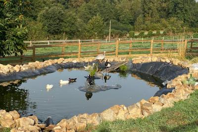 Échelle en bois décorée de bouteilles en verre marron, fleurs séchées et cadre sur fond de mur en pierre.