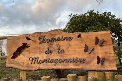 Échelle en bois décorée de bouteilles en verre marron, fleurs séchées et cadre sur fond de mur en pierre.