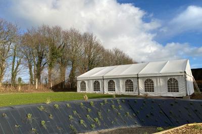 Échelle en bois décorée de bouteilles en verre marron, fleurs séchées et cadre sur fond de mur en pierre.