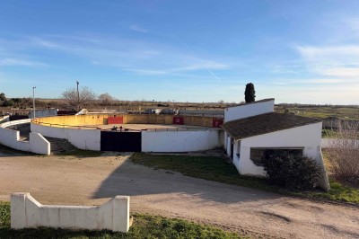 Abri extérieur avec toit en tuiles, tables et panneaux d'affichage, entouré de végétation et ciel dégagé.