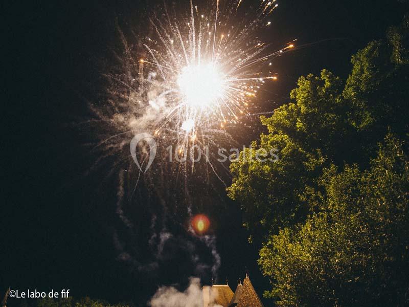 Feu d'artifice illuminant le ciel nocturne au-dessus d'arbres et d'un bâtiment partiellement visible.