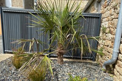 Location salle Scaër (Finistère) - Le Mississipi #22