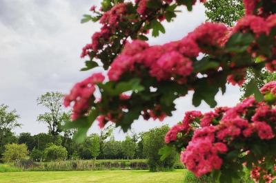Location salle Saint-Viâtre (Loir-et-Cher) - Le Gué de la Terre #29